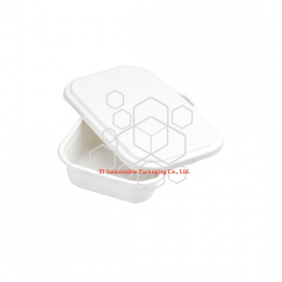 100% biodegradable food safe sugarcane pulp paper packaging containers with lids