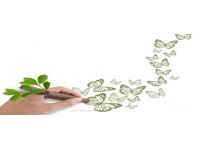 Packaging and printing enterprises affected by COVID-19