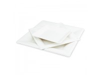 Pi sustainable packaging launch 100% biodegradable and compostable sugarcane pulp paper plates Pi sustainable packaging launch 100% biodegradable and compostable sugarcane pulp paper plates