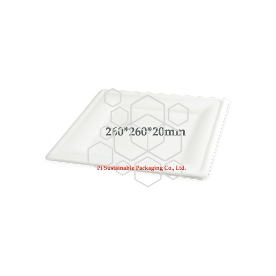 eco friendly disposal plates  eco friendly disposal plates